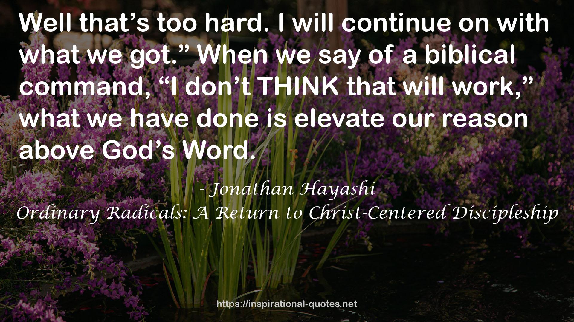 Ordinary Radicals: A Return to Christ-Centered Discipleship QUOTES