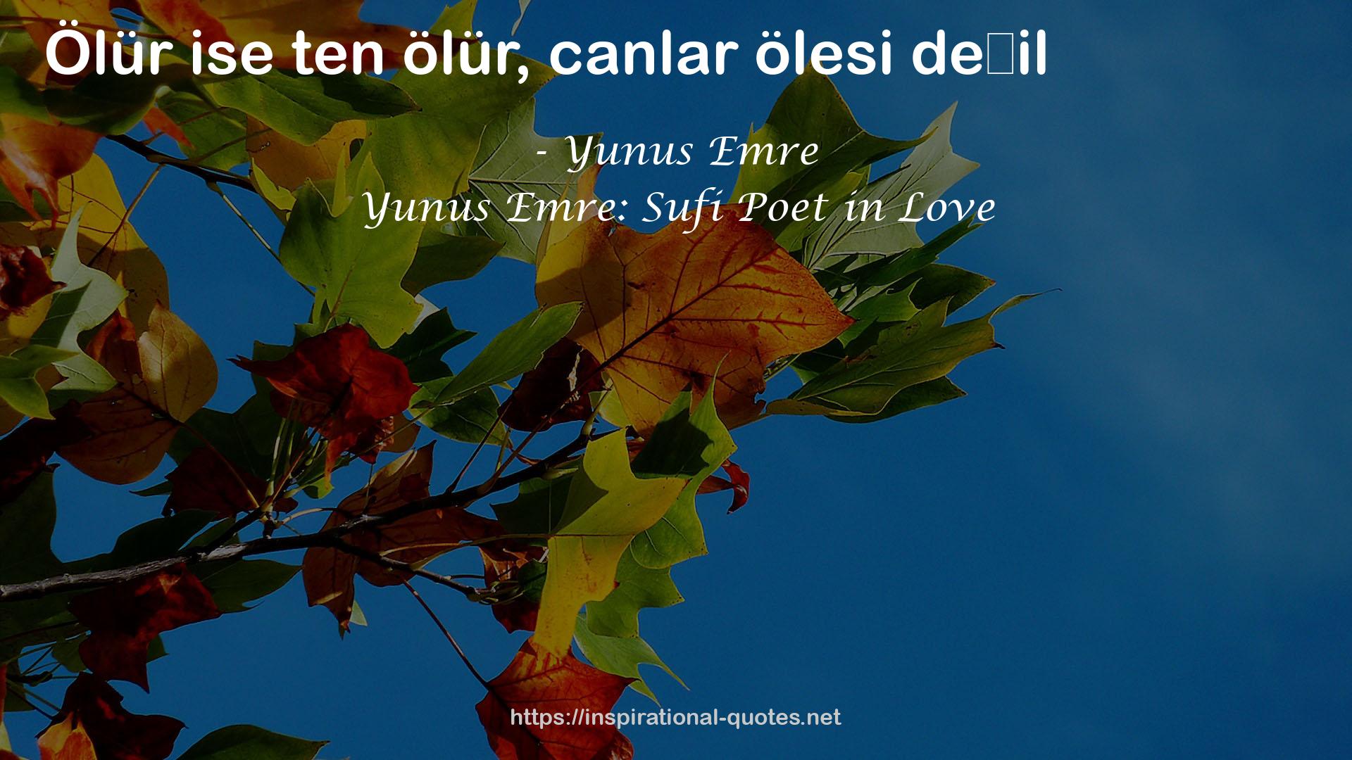 Yunus Emre: Sufi Poet in Love QUOTES