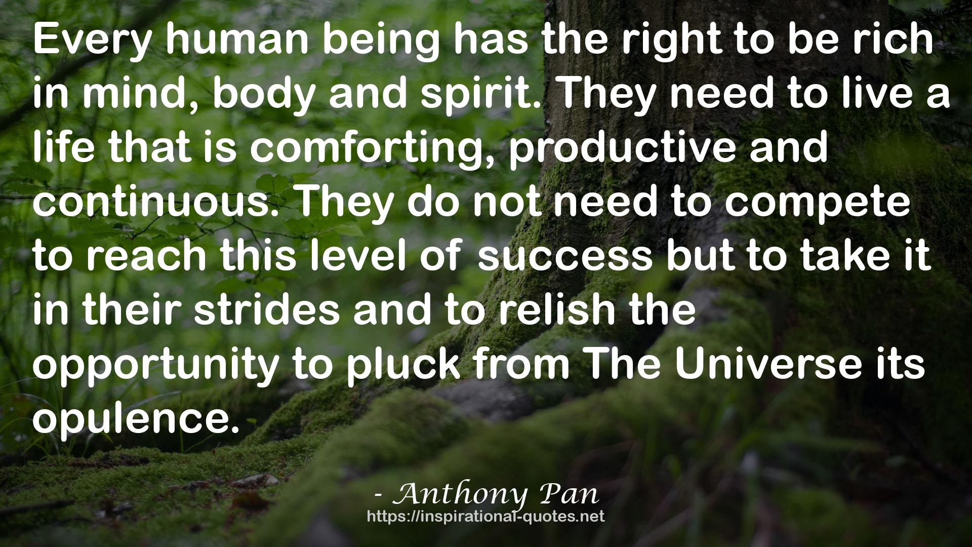 Anthony Pan QUOTES