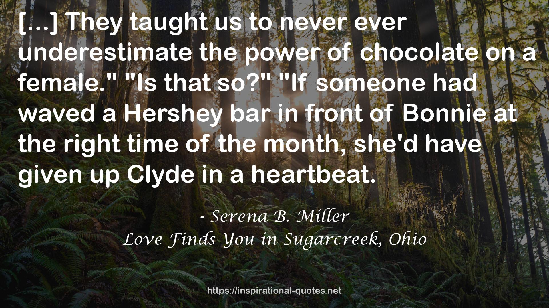 Love Finds You in Sugarcreek, Ohio QUOTES