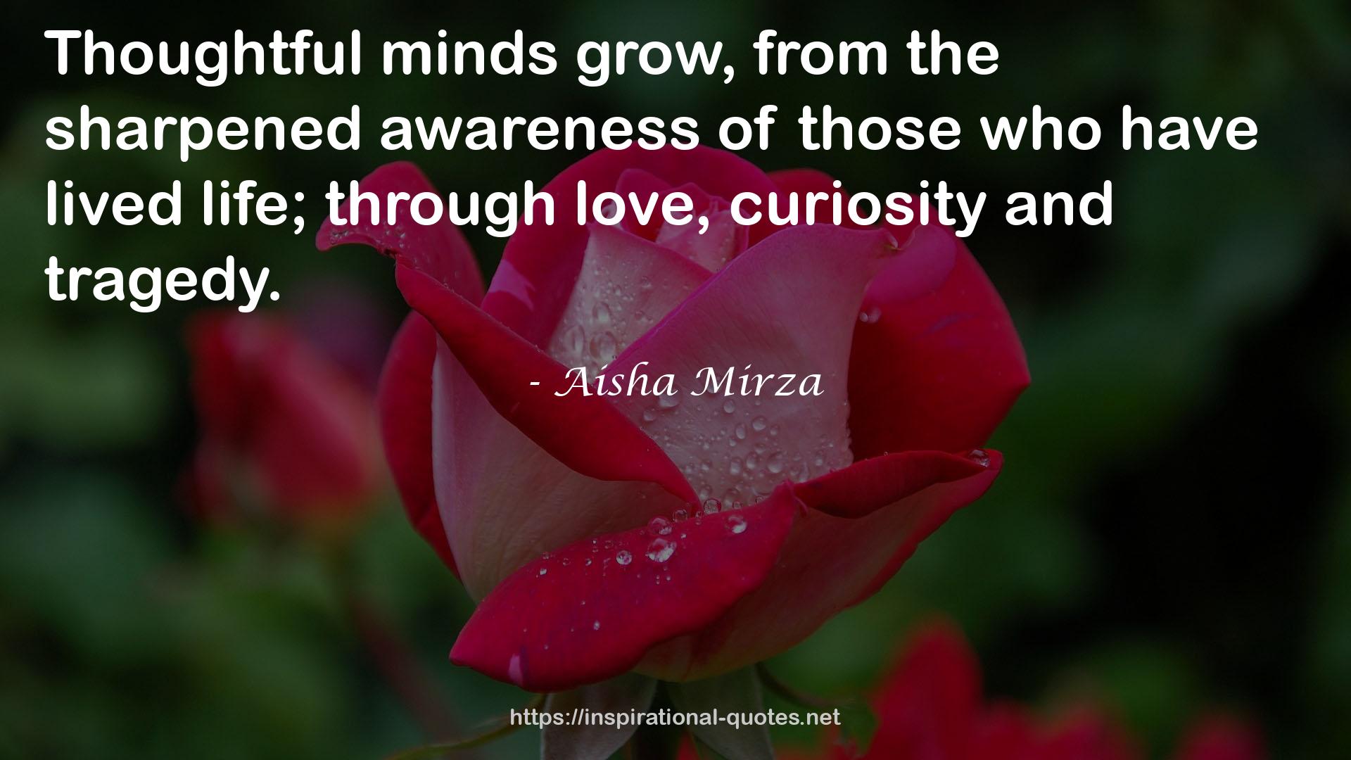 Aisha Mirza QUOTES