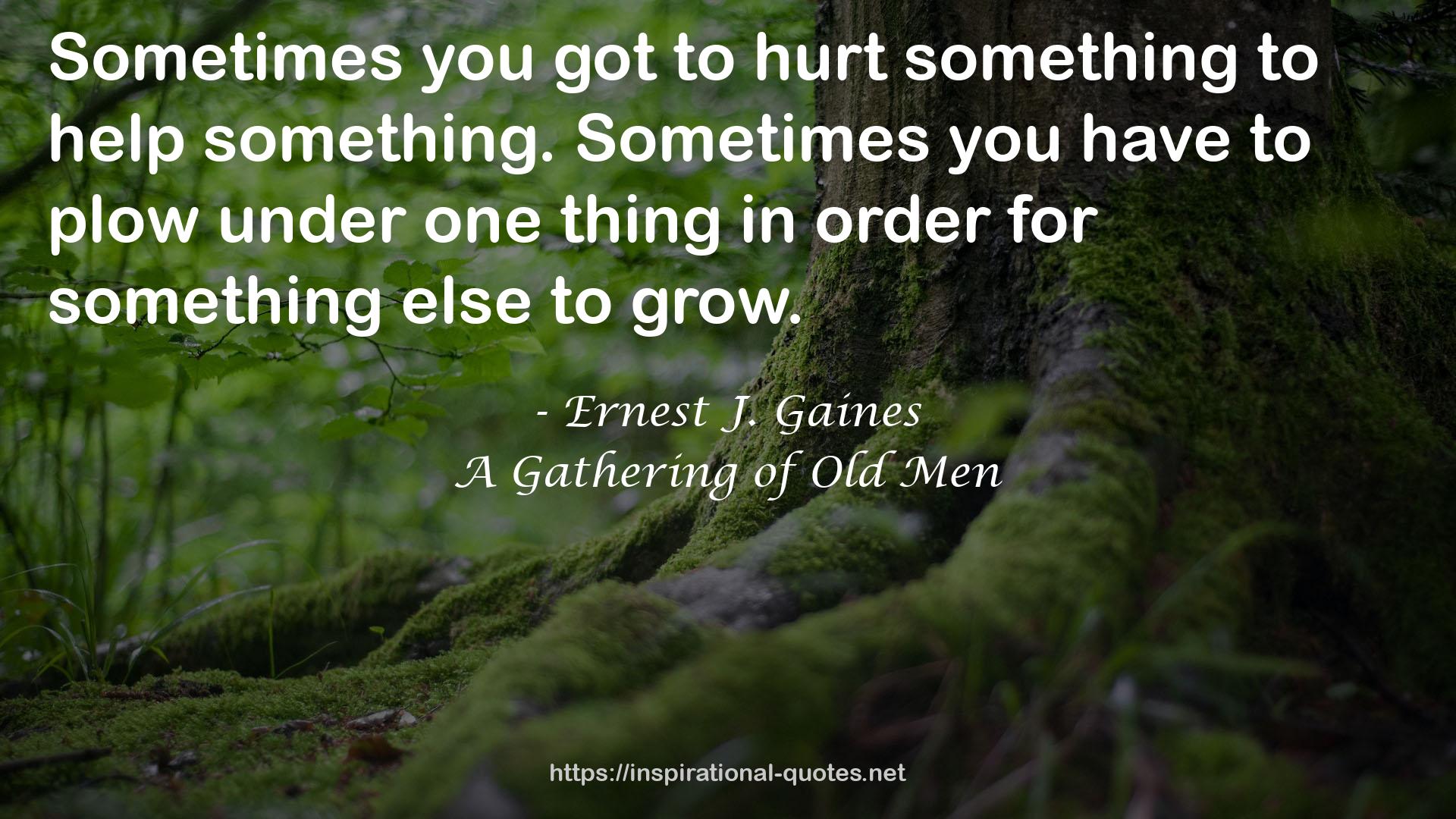 Ernest J. Gaines QUOTES