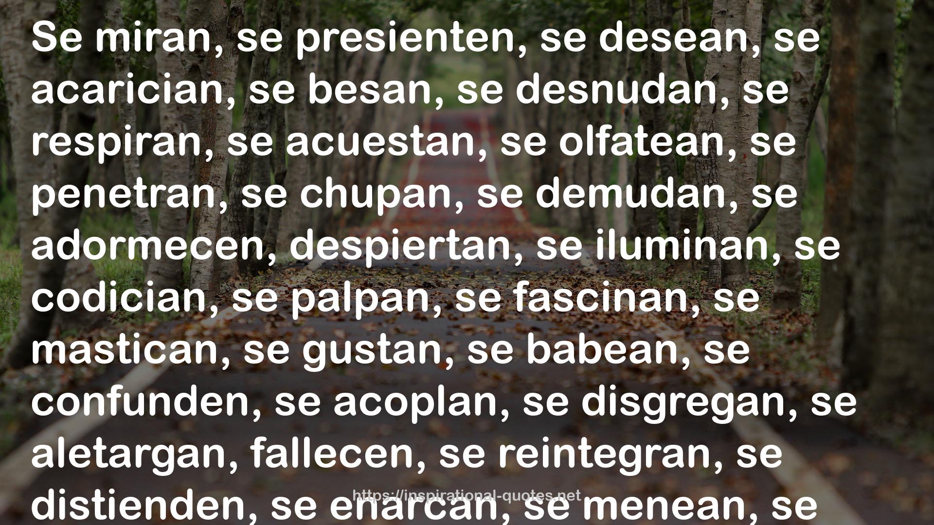 Poesía (Obras, #1) QUOTES