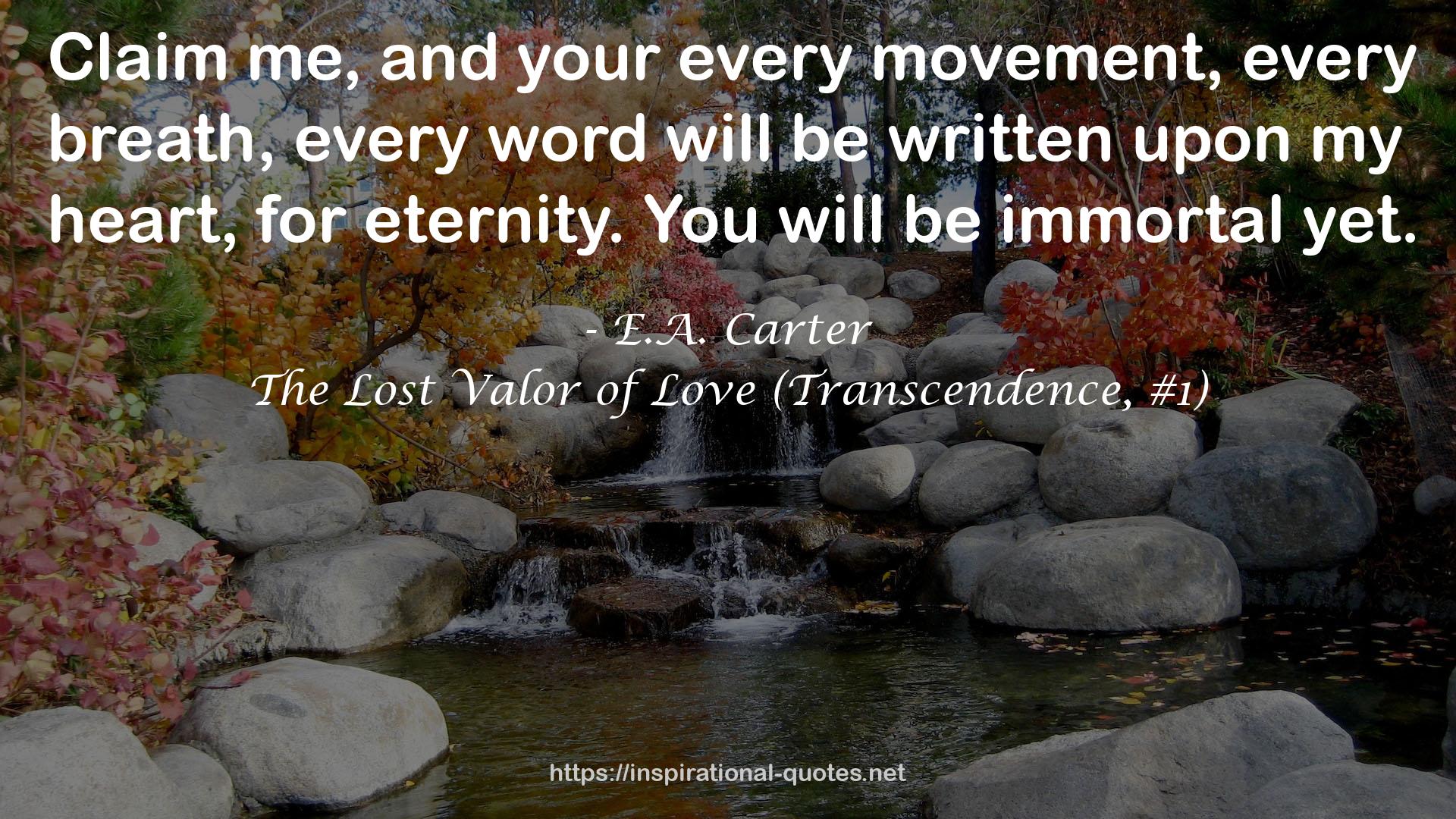 The Lost Valor of Love (Transcendence, #1) QUOTES