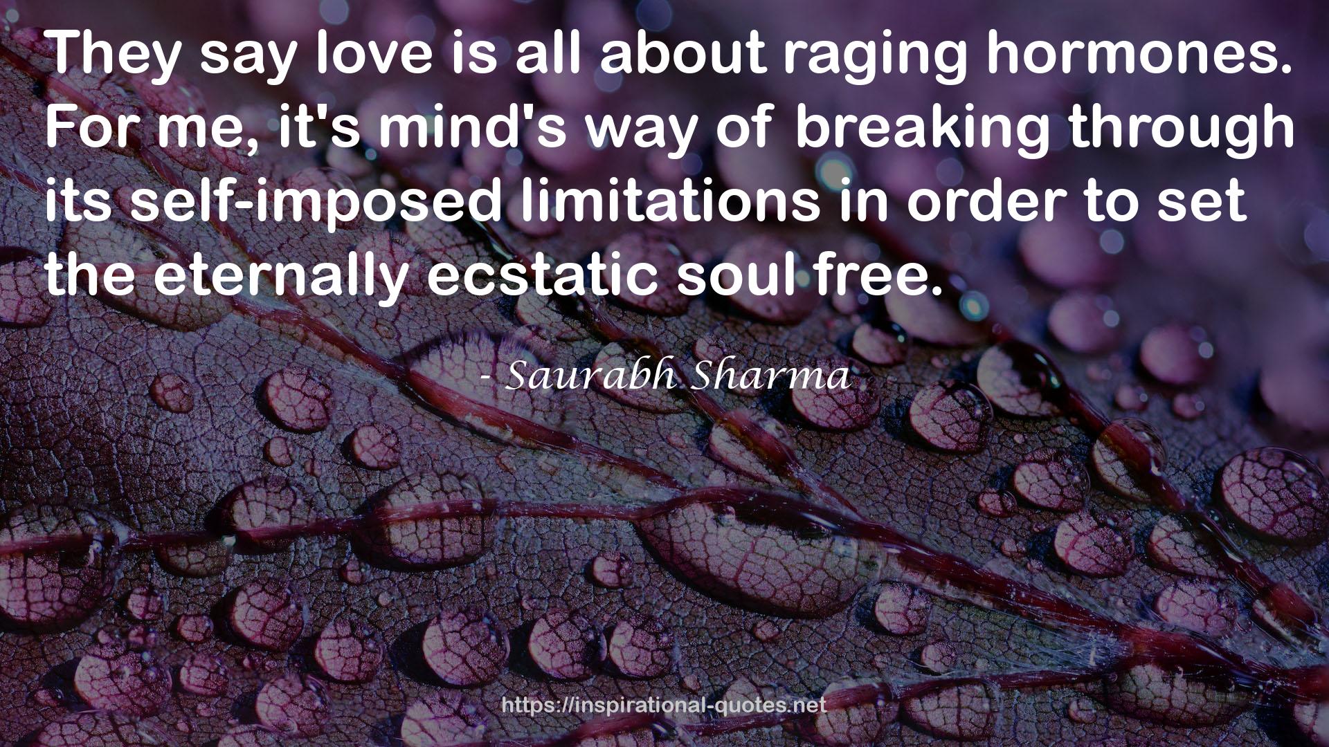 the eternally ecstatic soul  QUOTES