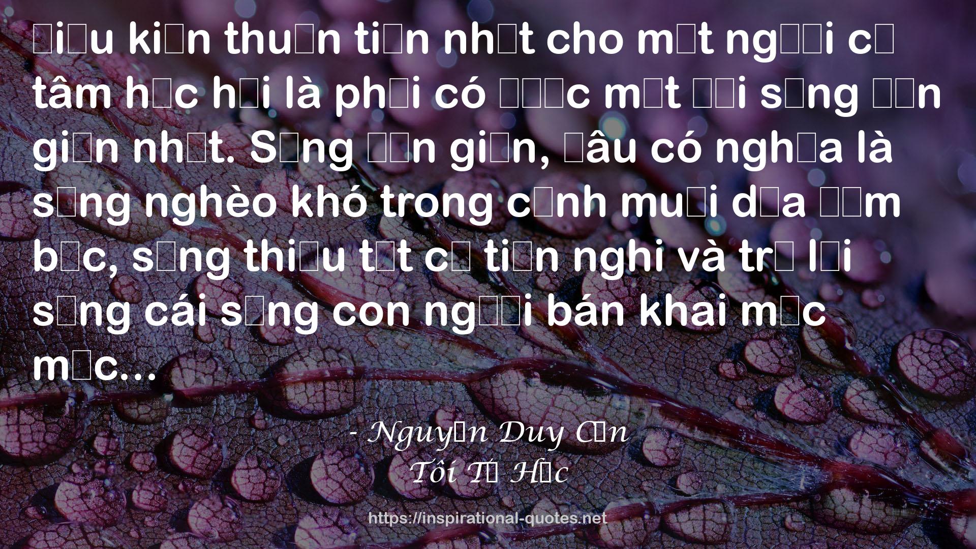 Nguyễn Duy Cần QUOTES