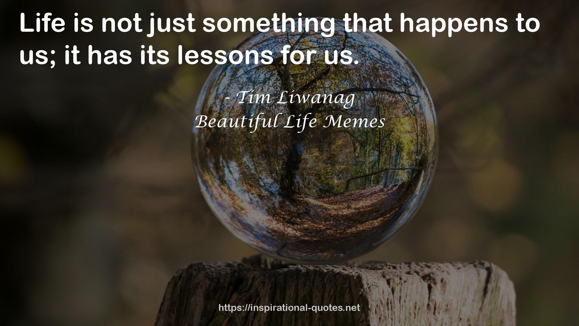 Beautiful Life Memes QUOTES