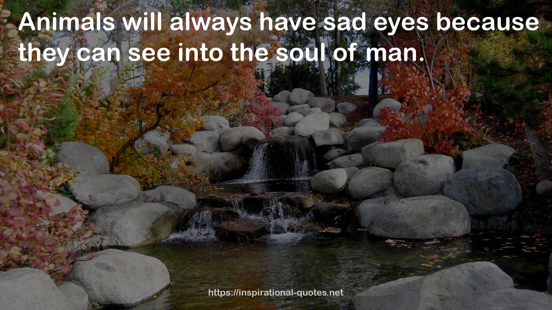 sad eyes  QUOTES