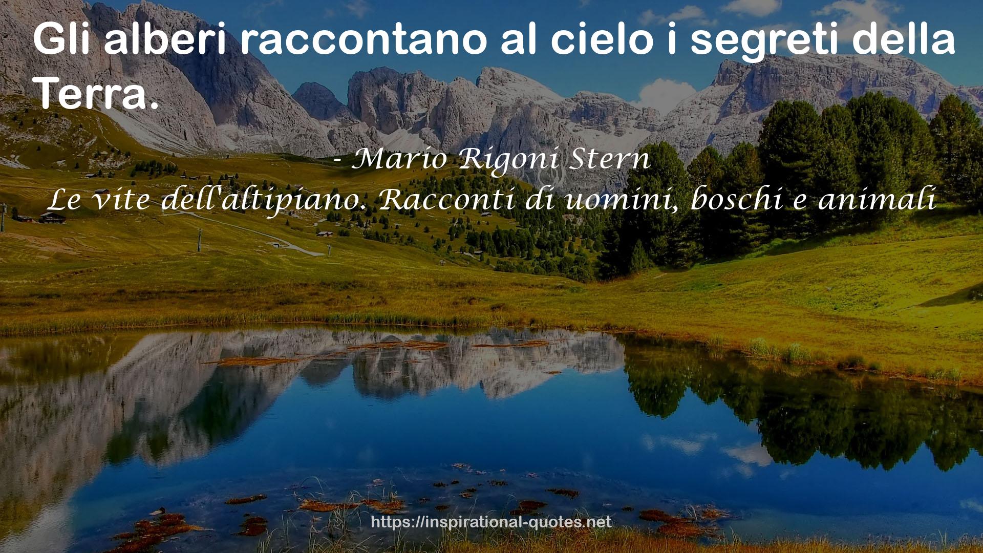 Le vite dell'altipiano. Racconti di uomini, boschi e animali QUOTES