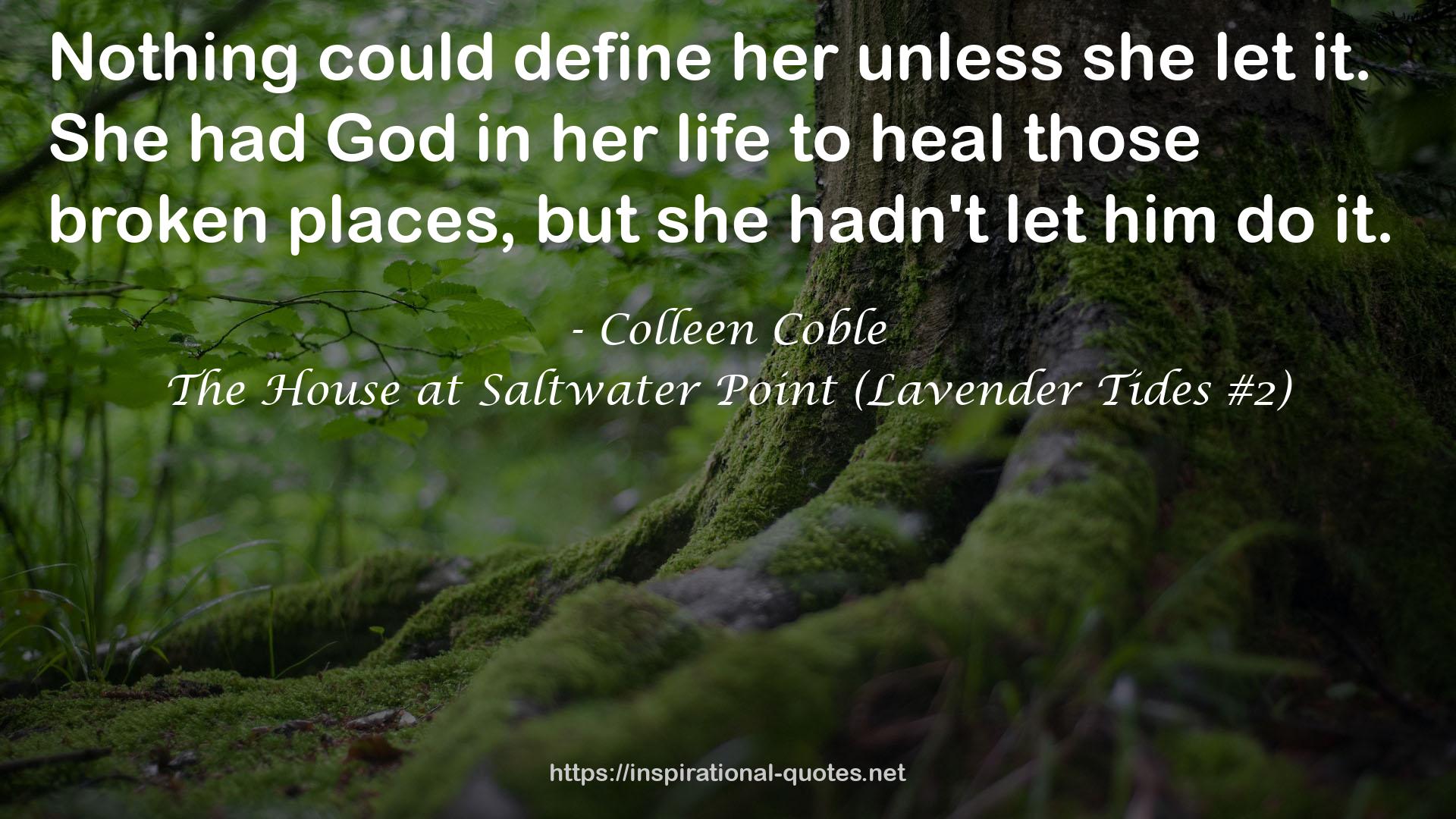 The House at Saltwater Point (Lavender Tides #2) QUOTES