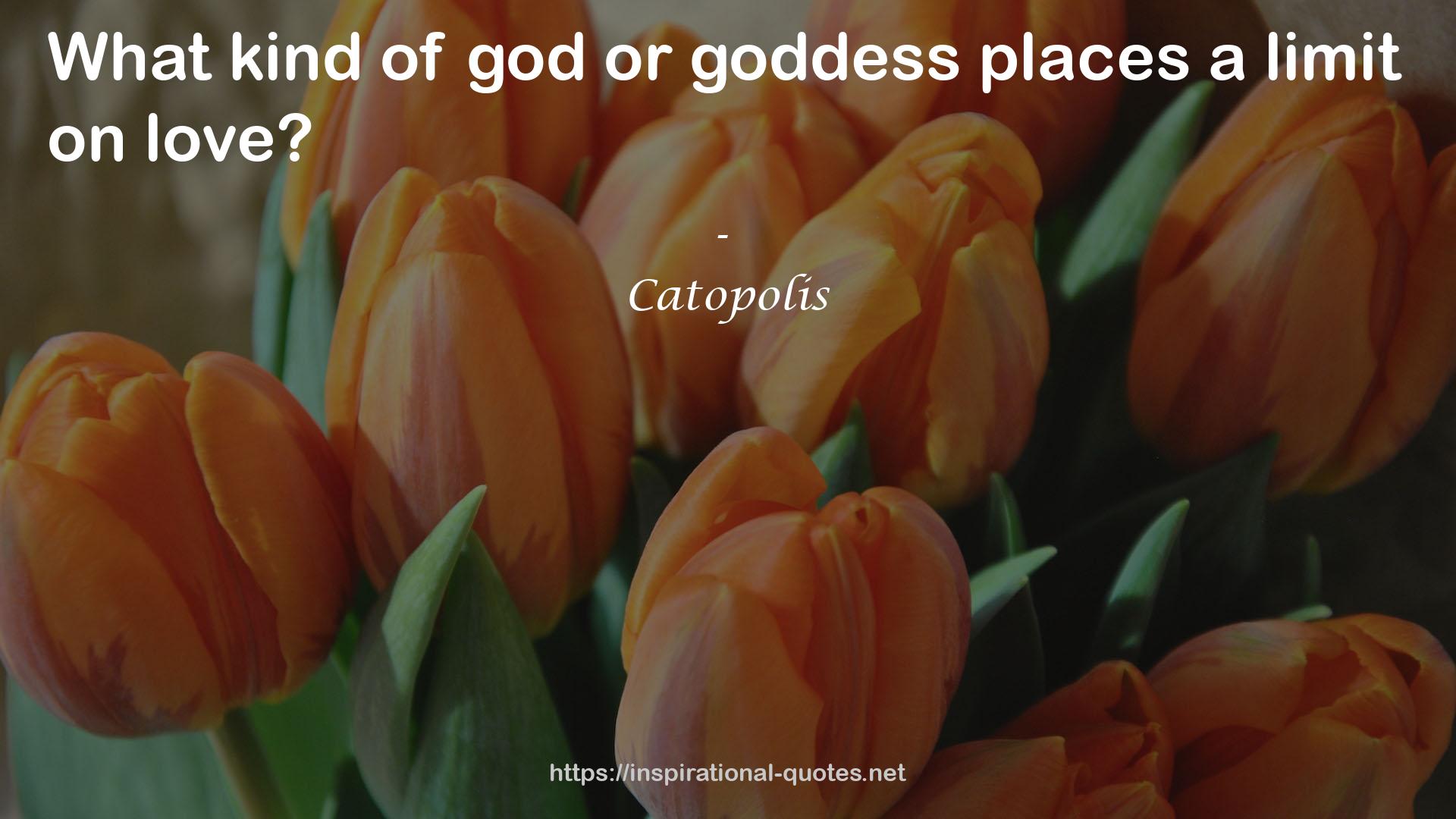 Catopolis QUOTES