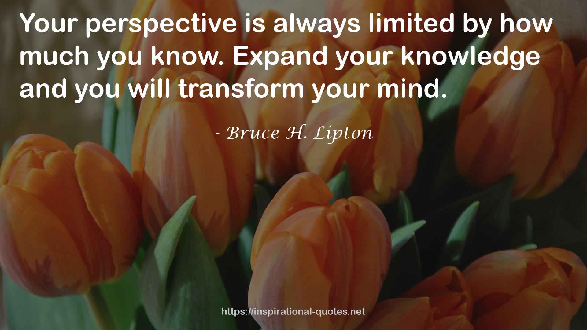 Bruce H. Lipton QUOTES