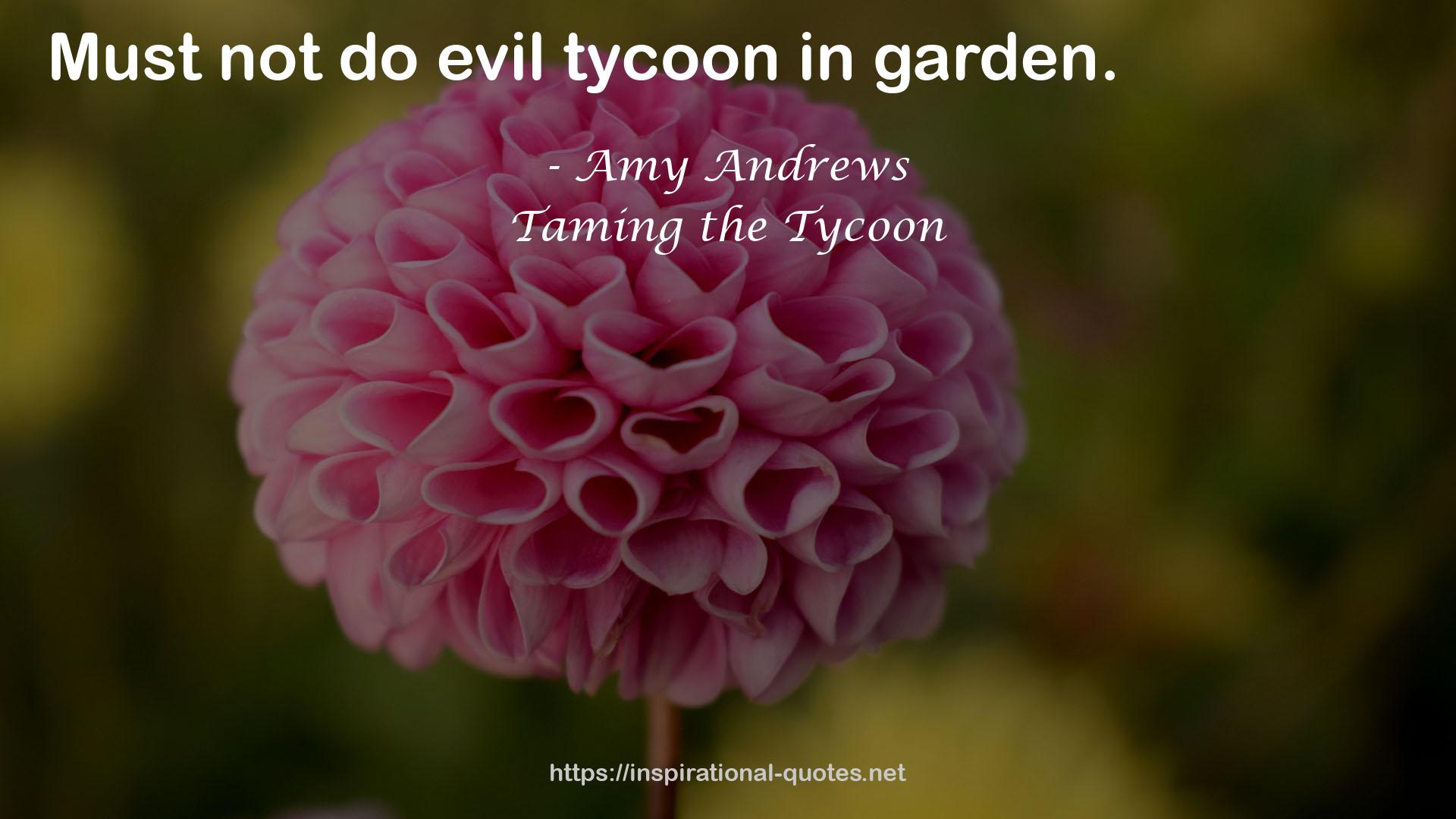 Taming the Tycoon QUOTES