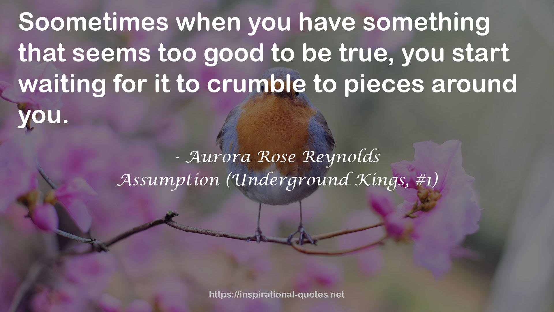 Assumption (Underground Kings, #1) QUOTES