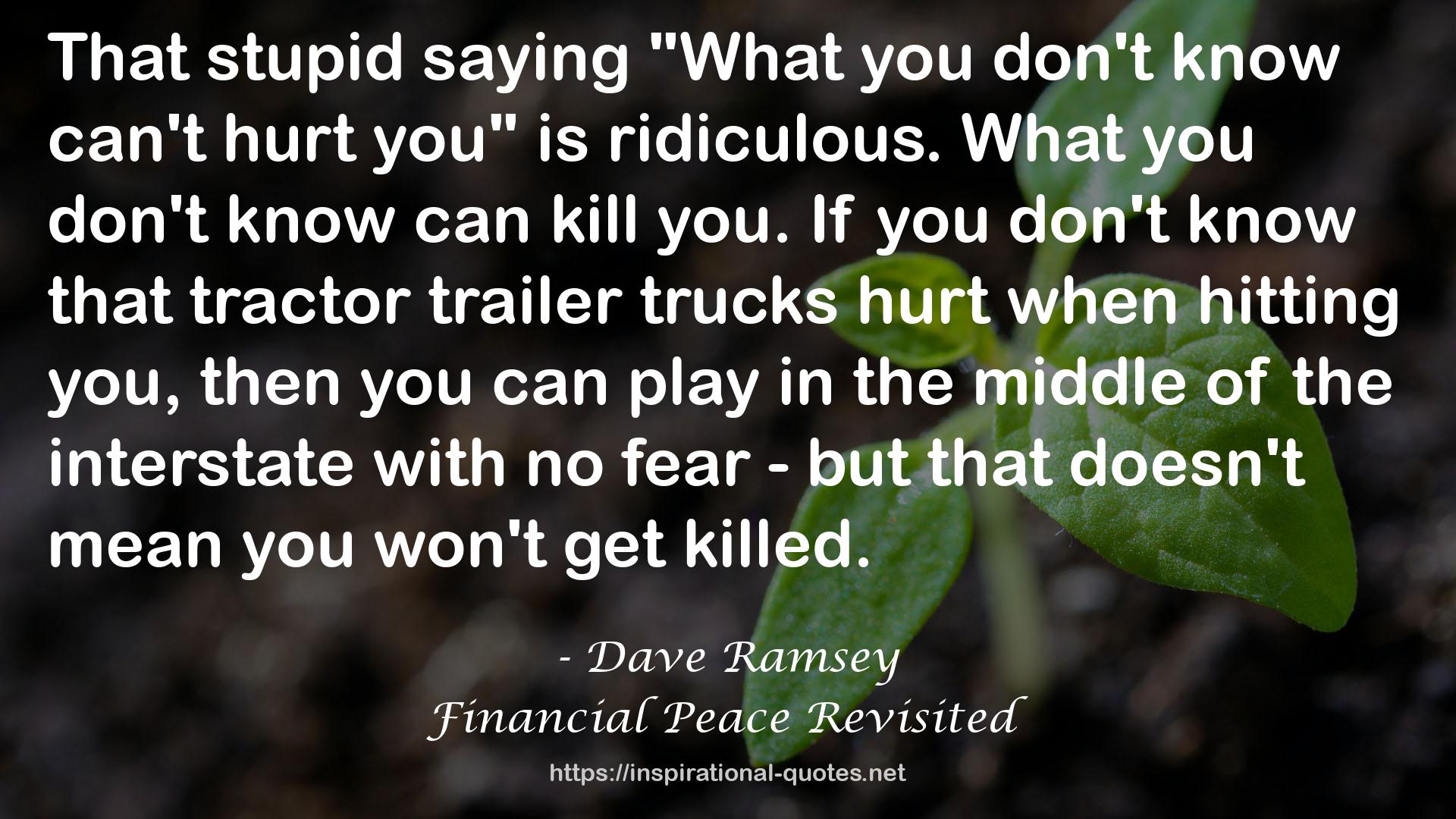 Financial Peace Revisited QUOTES