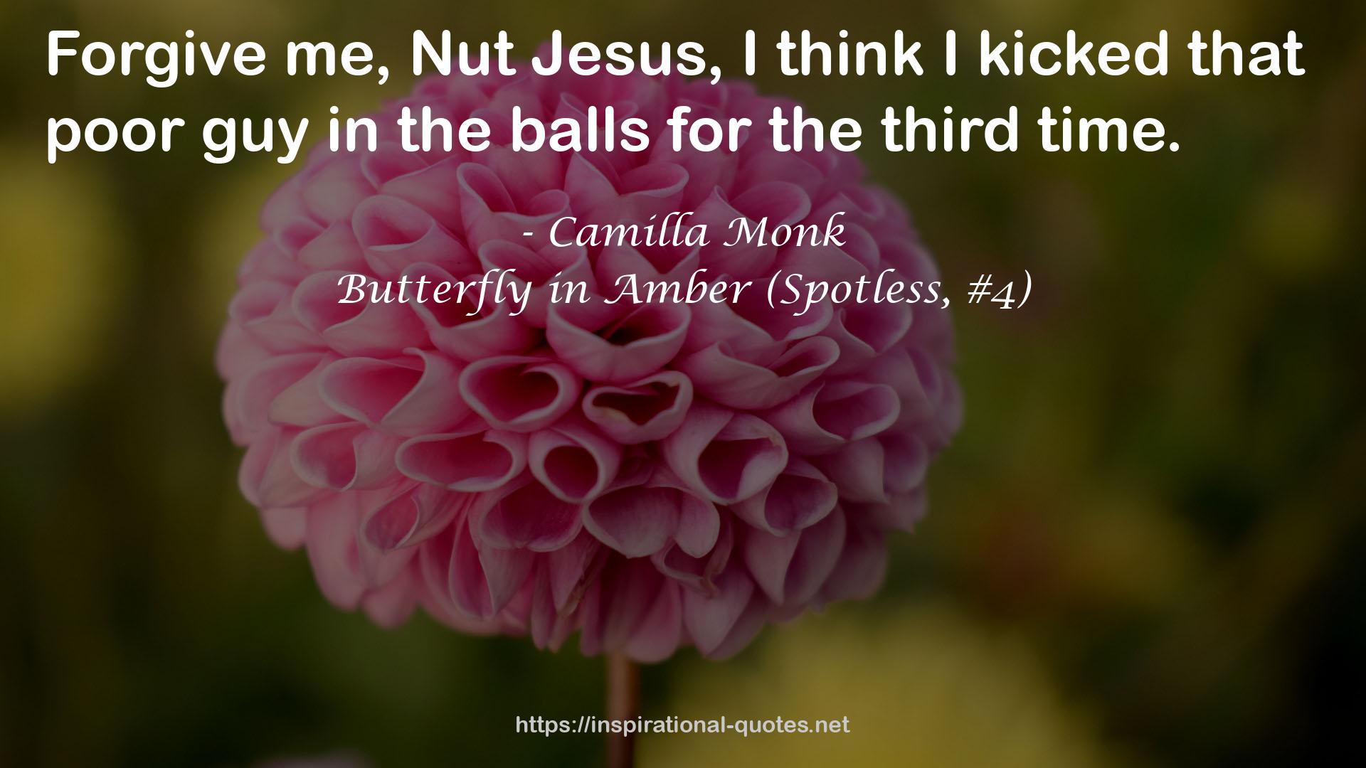 Butterfly in Amber (Spotless, #4) QUOTES