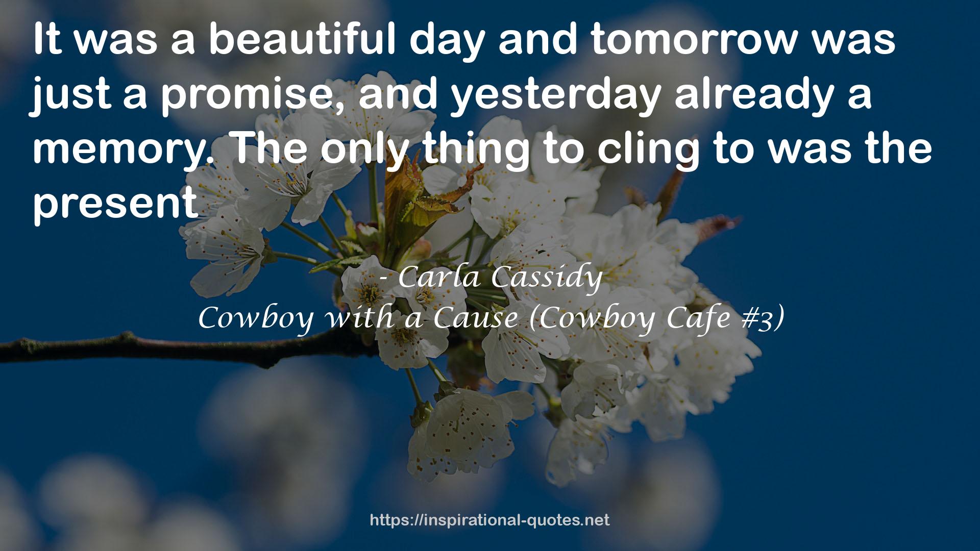 Cowboy with a Cause (Cowboy Cafe #3) QUOTES