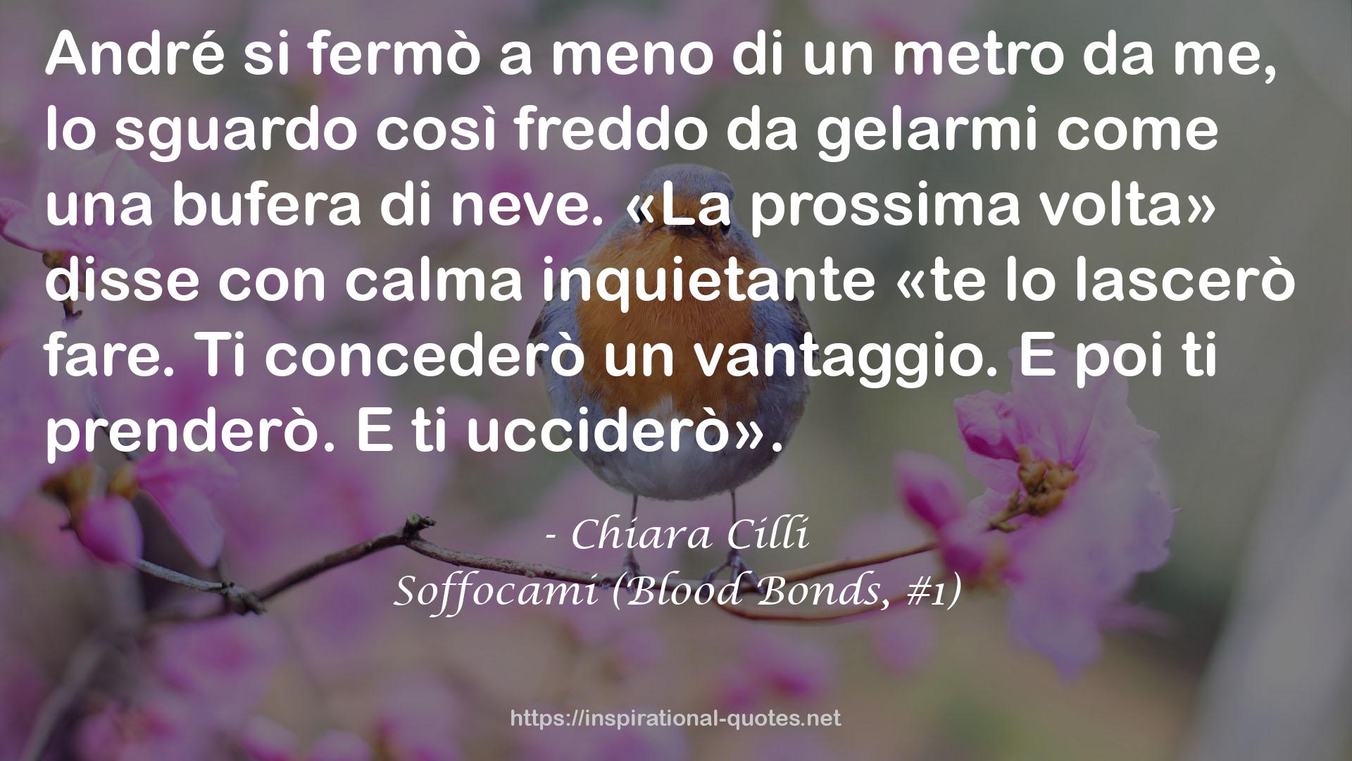 Chiara Cilli QUOTES