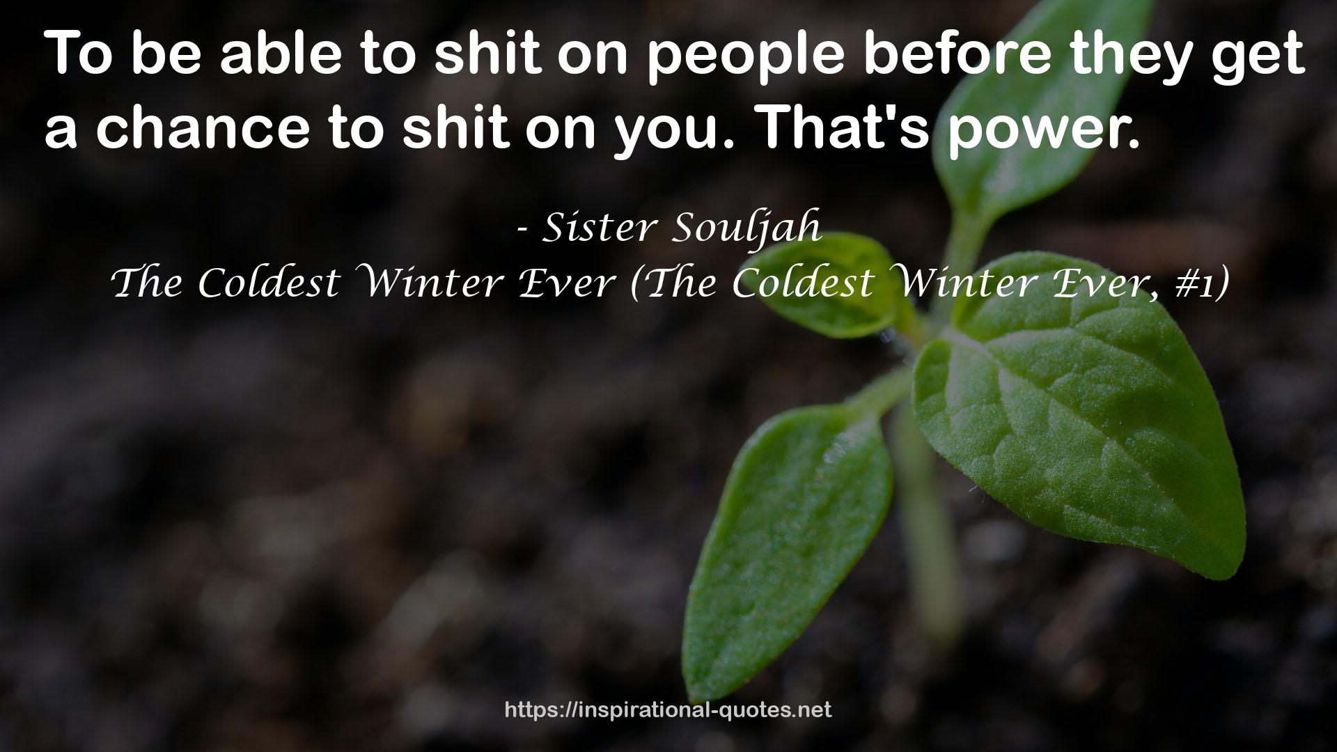 The Coldest Winter Ever (The Coldest Winter Ever, #1) QUOTES