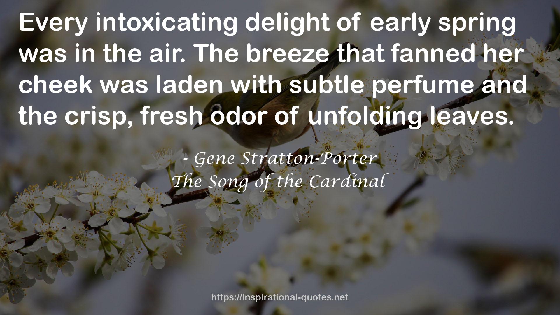 The Song of the Cardinal QUOTES