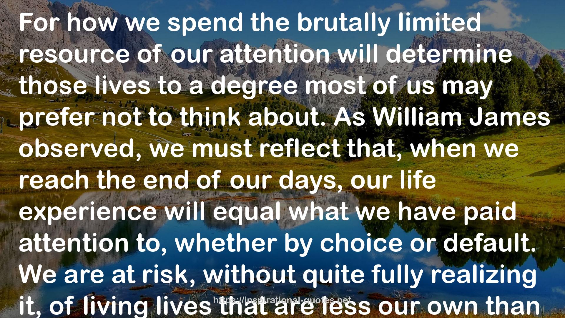 The Attention Merchants: The Epic Scramble to Get Inside Our Heads QUOTES