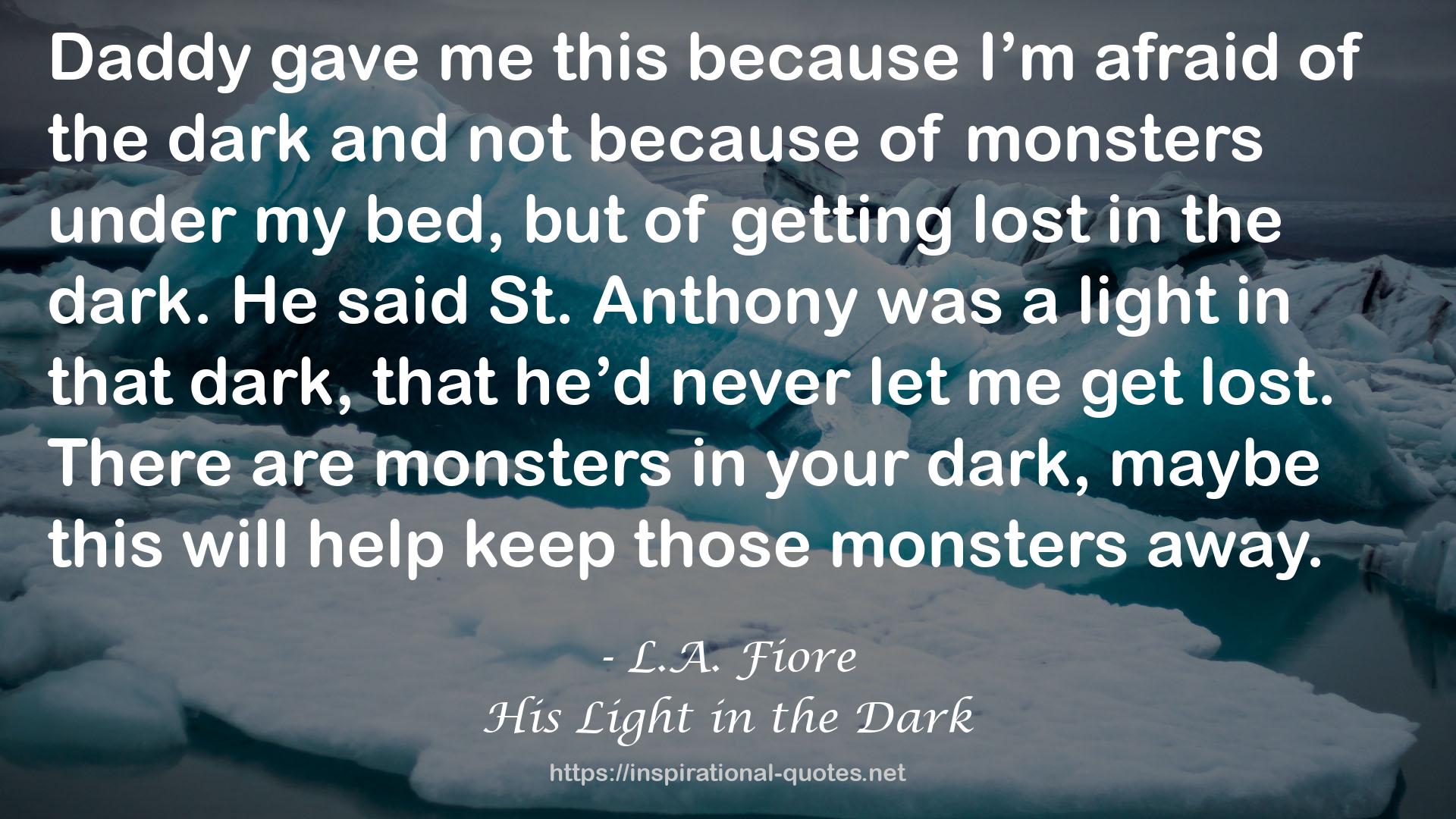 His Light in the Dark QUOTES