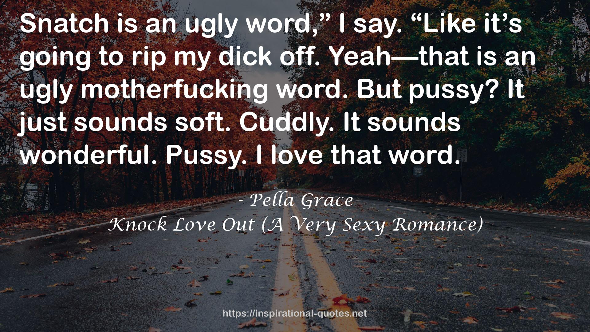 Knock Love Out (A Very Sexy Romance) QUOTES