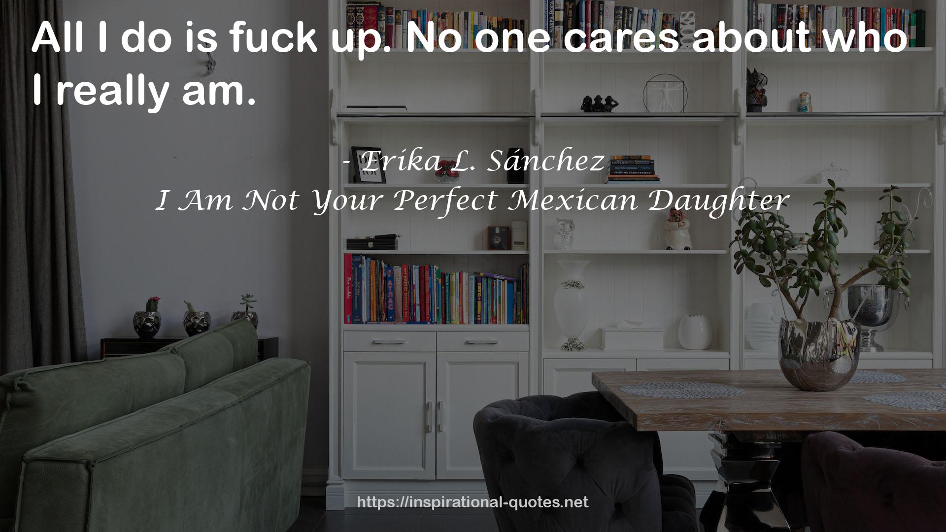 I Am Not Your Perfect Mexican Daughter QUOTES