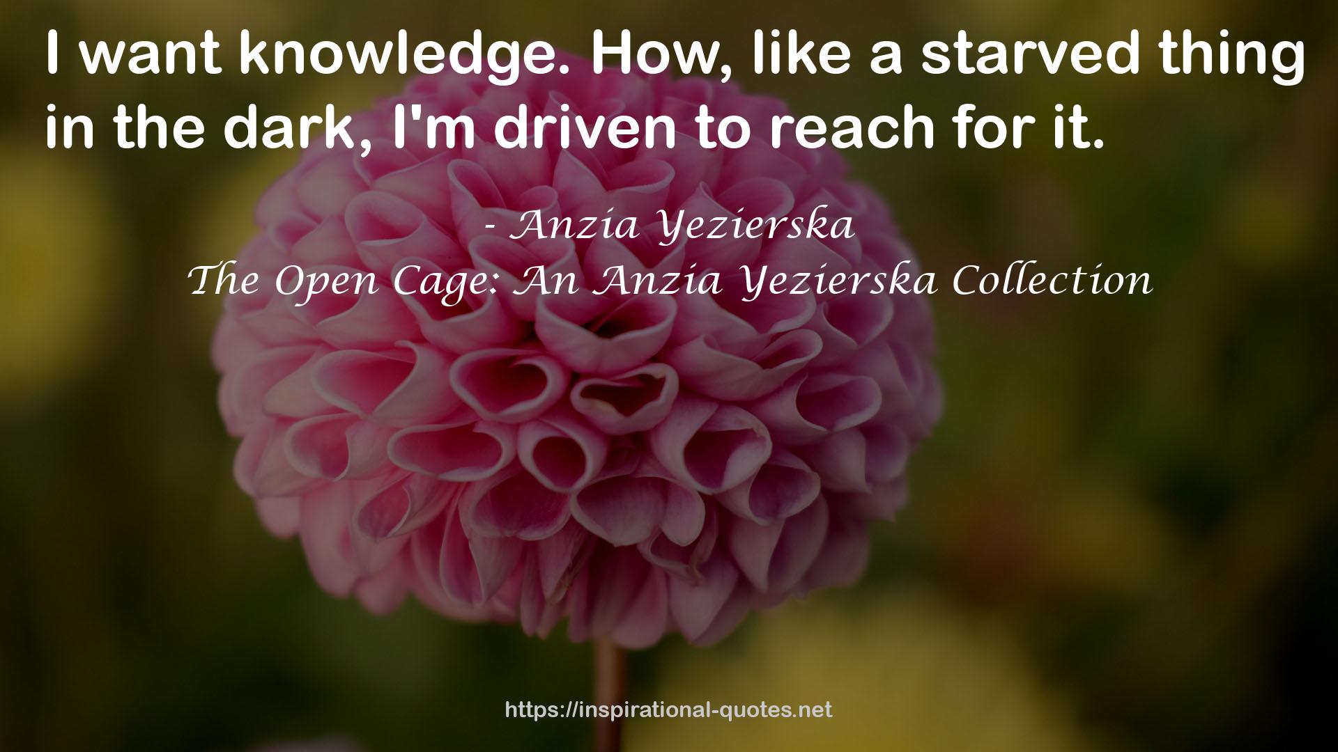 The Open Cage: An Anzia Yezierska Collection QUOTES