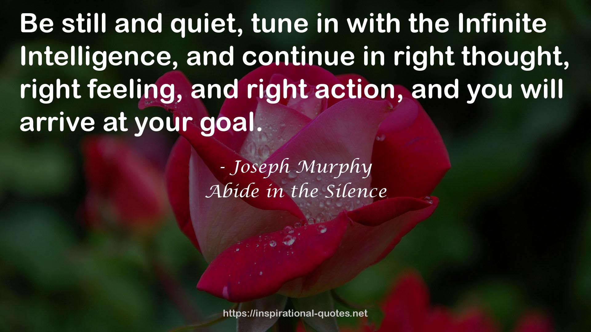 Abide in the Silence QUOTES