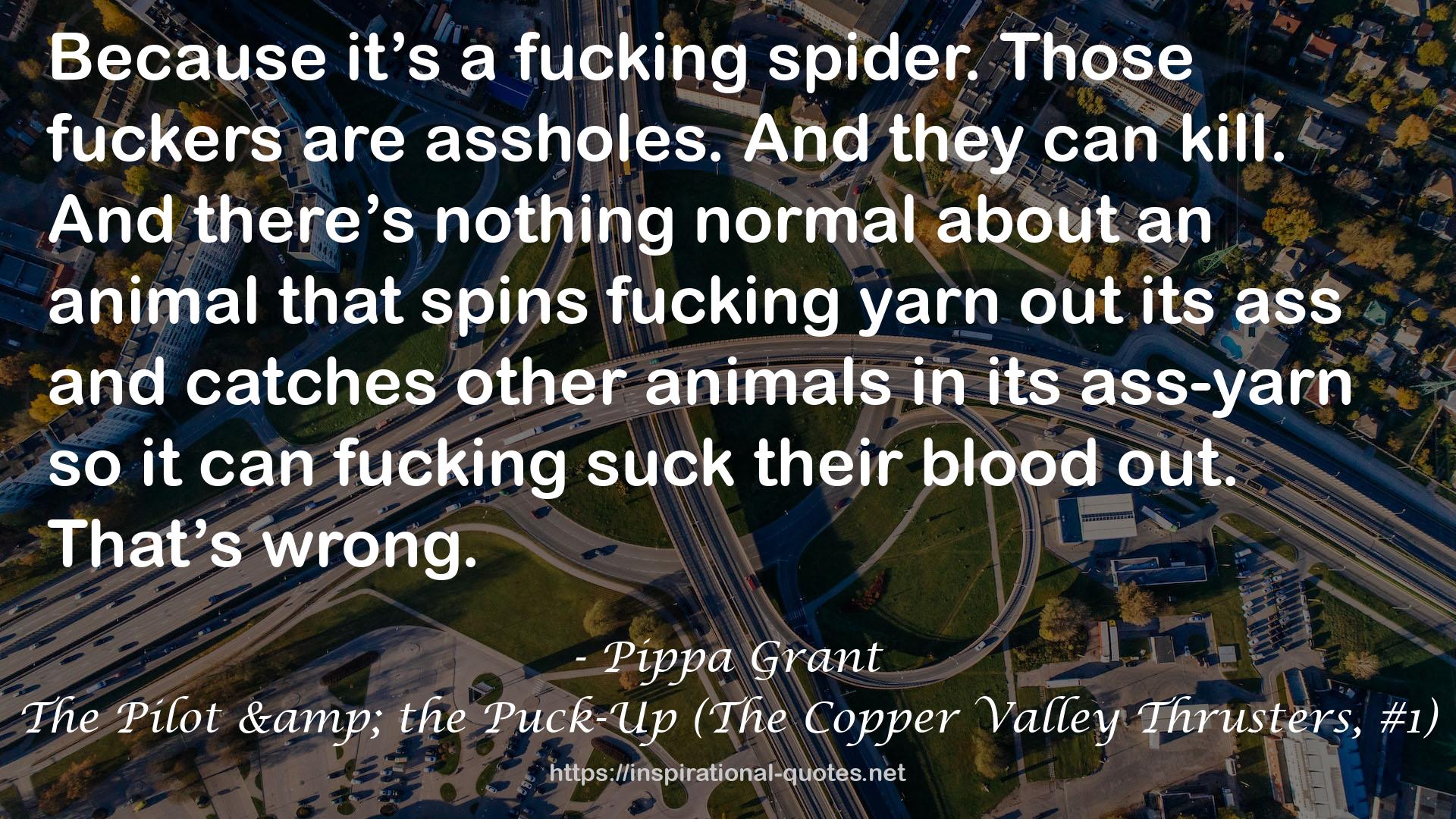 The Pilot & the Puck-Up (The Copper Valley Thrusters, #1) QUOTES