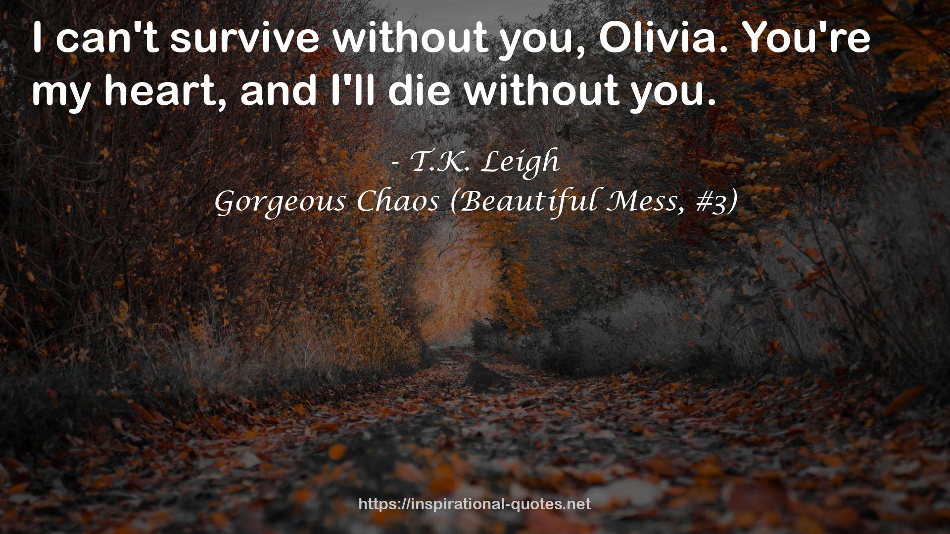 Gorgeous Chaos (Beautiful Mess, #3) QUOTES
