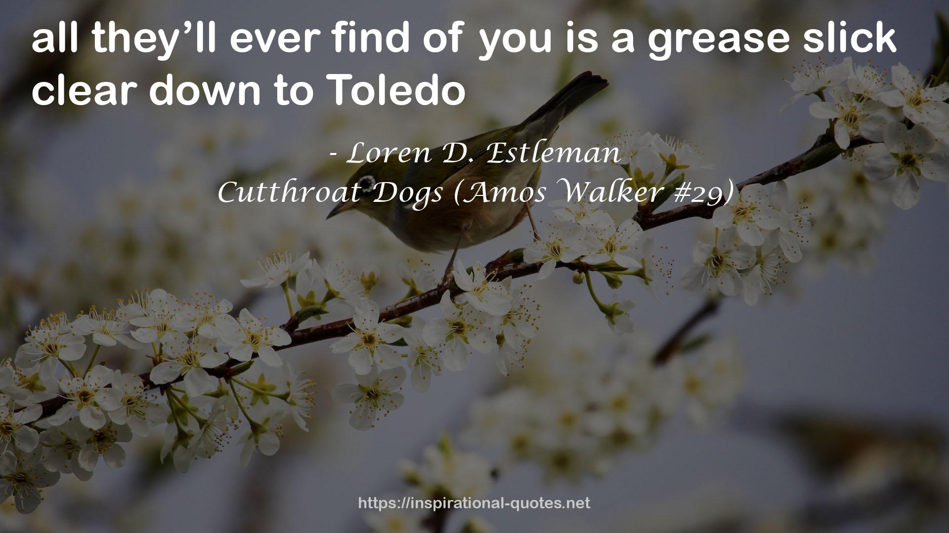 Cutthroat Dogs (Amos Walker #29) QUOTES
