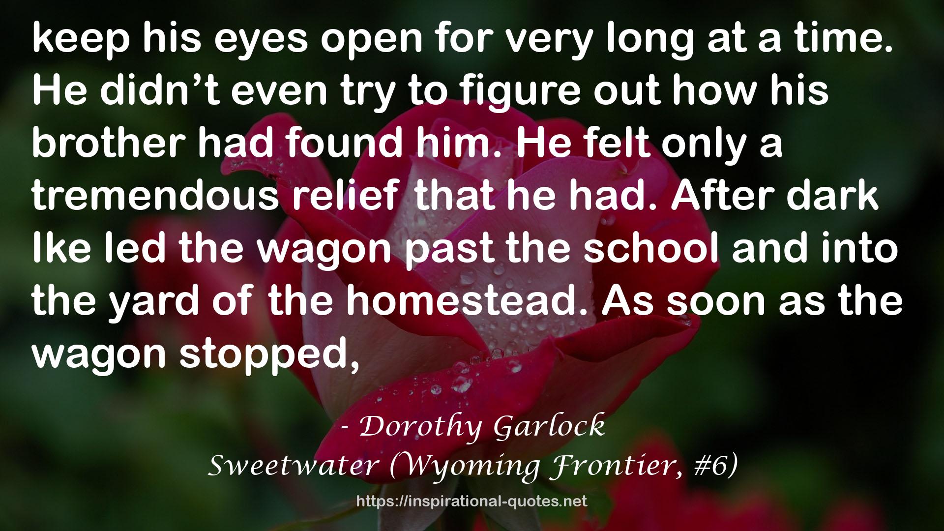 Sweetwater (Wyoming Frontier, #6) QUOTES