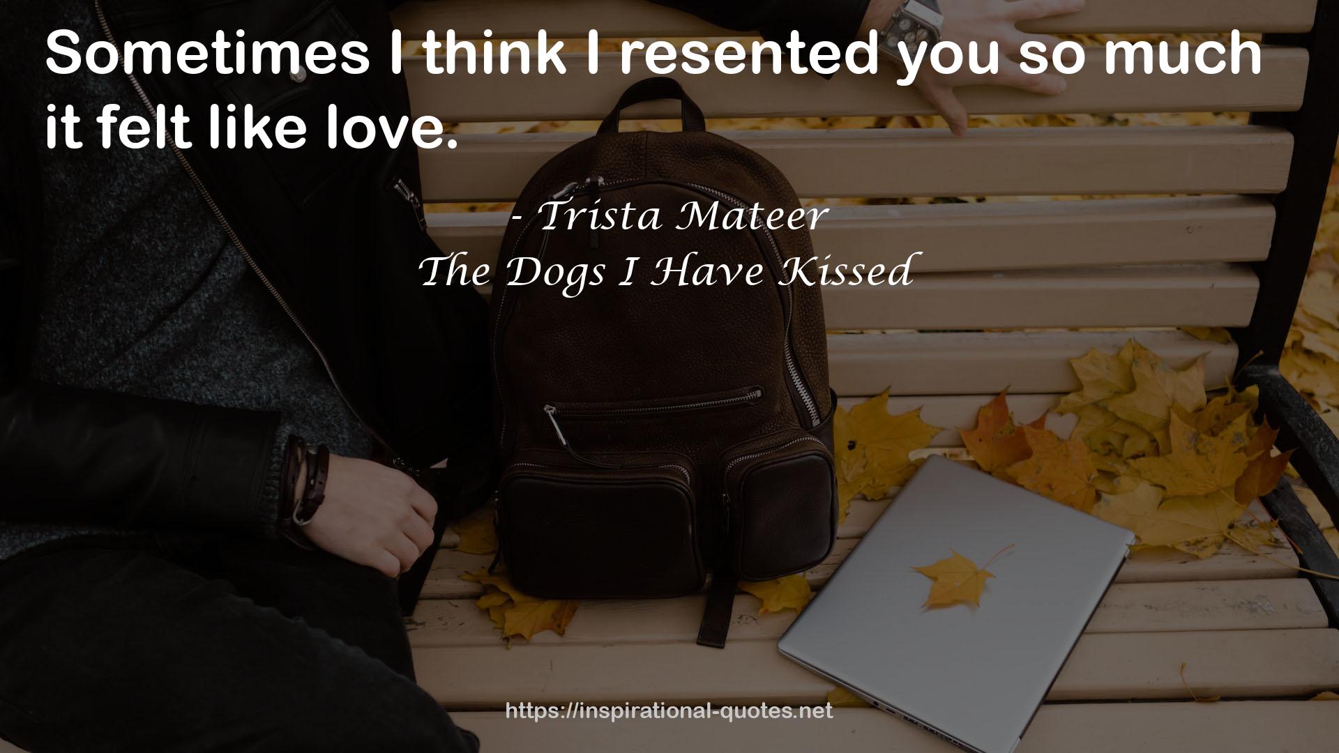 The Dogs I Have Kissed QUOTES