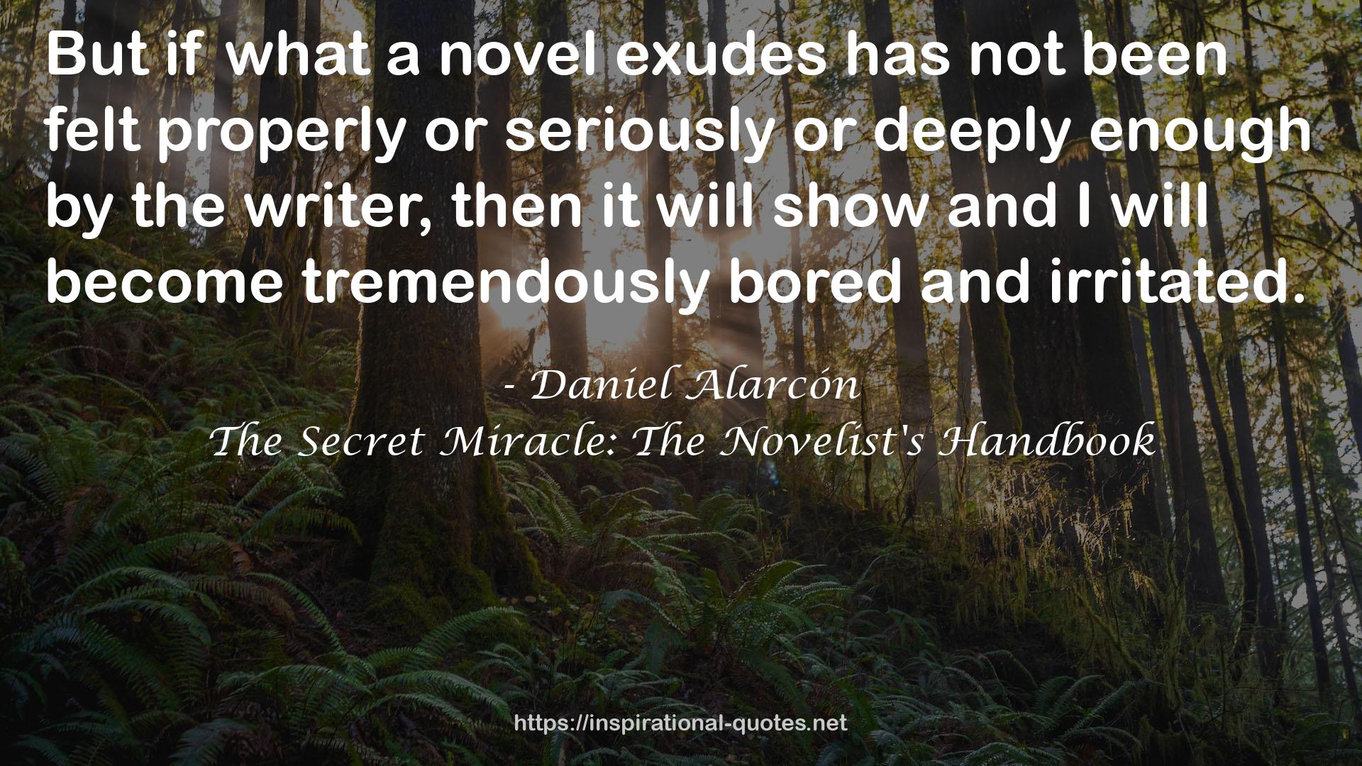 The Secret Miracle: The Novelist's Handbook QUOTES