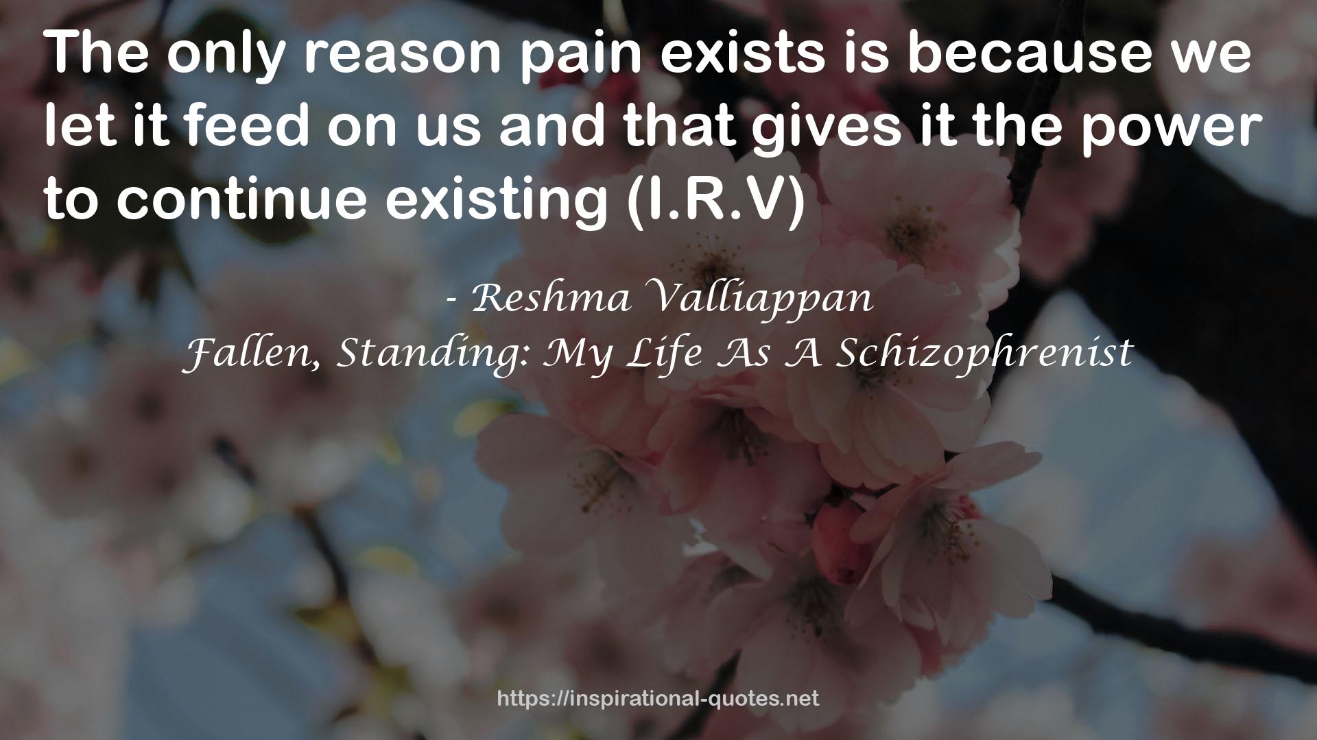 Fallen, Standing: My Life As A Schizophrenist QUOTES