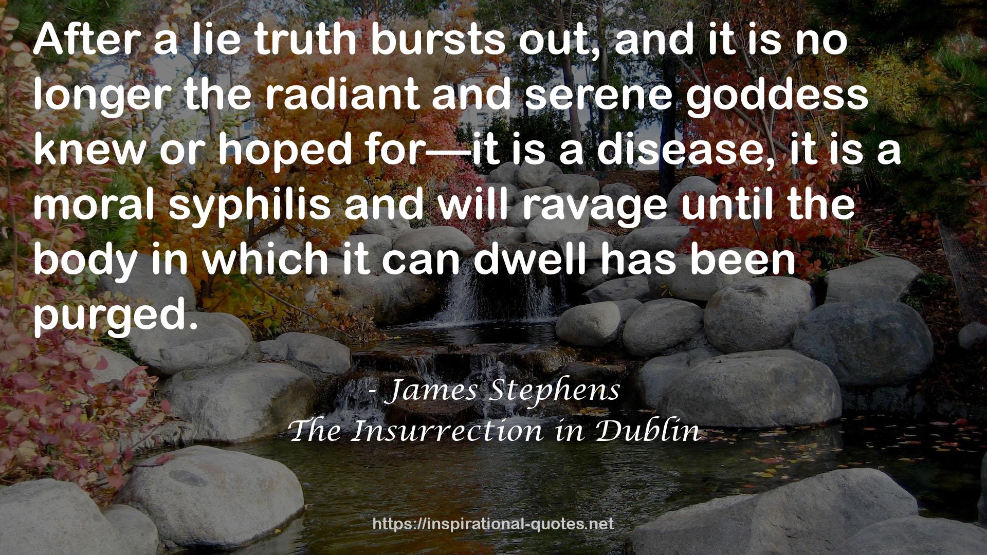 The Insurrection in Dublin QUOTES