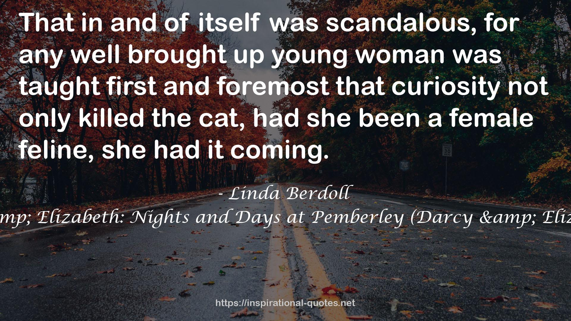 Darcy & Elizabeth: Nights and Days at Pemberley (Darcy & Elizabeth, #2) QUOTES