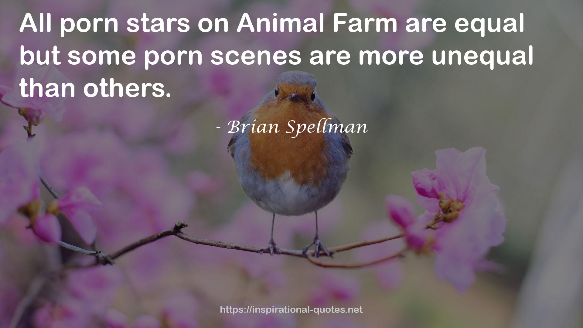 Brian Spellman QUOTES