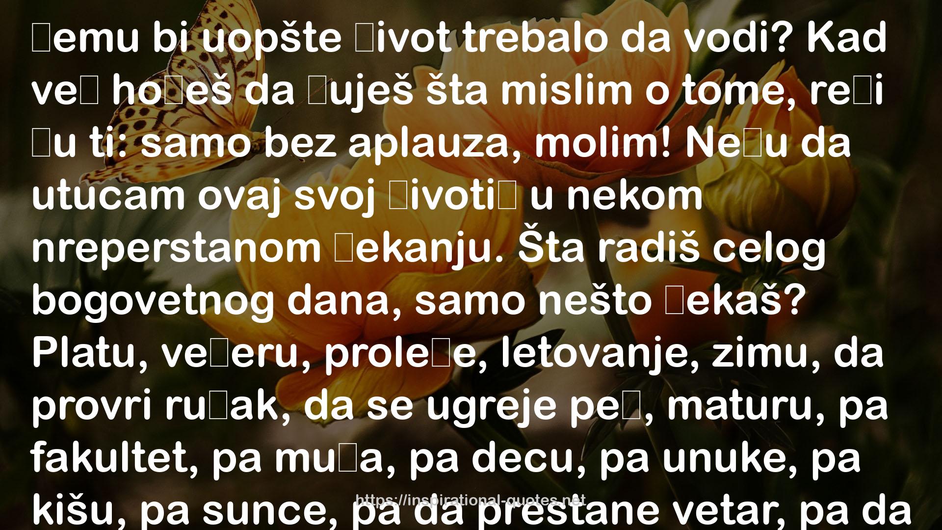 Beleške jedne Ane QUOTES