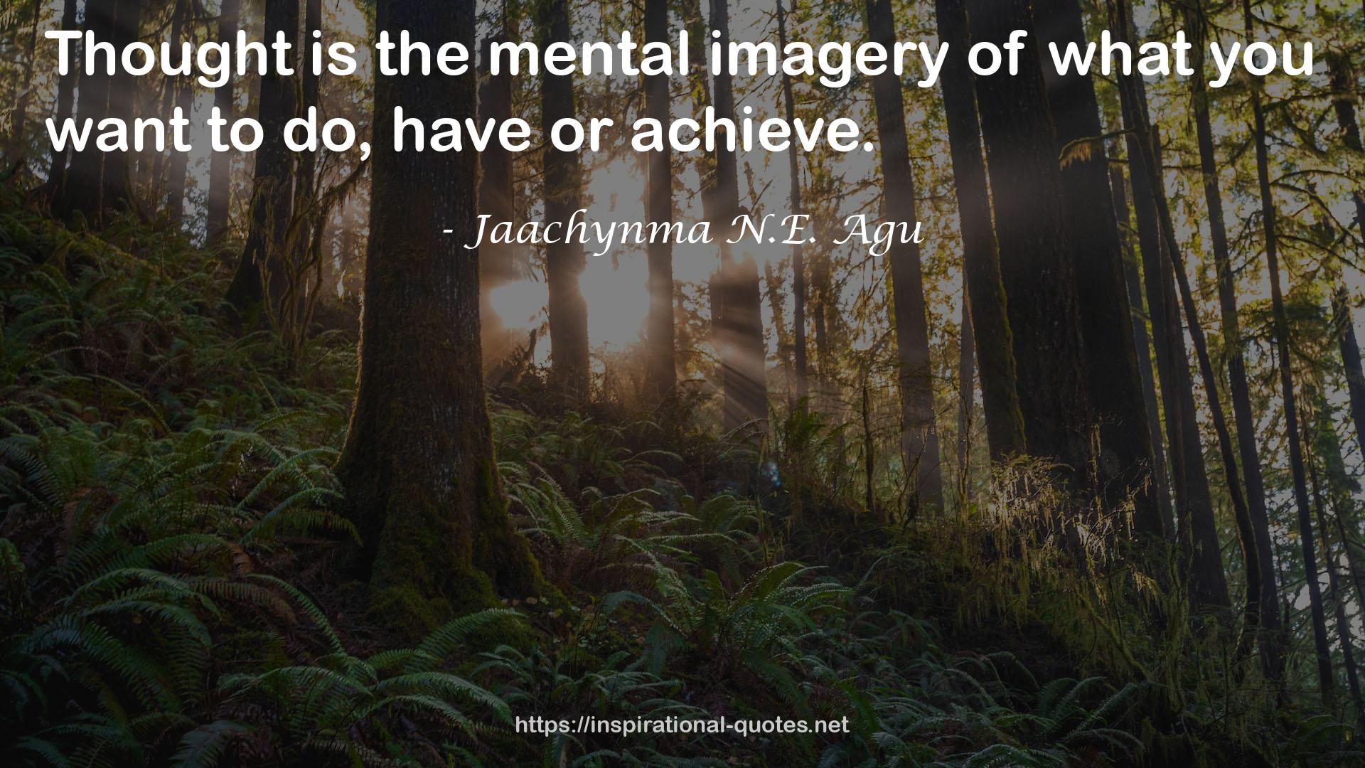 the mental imagery  QUOTES