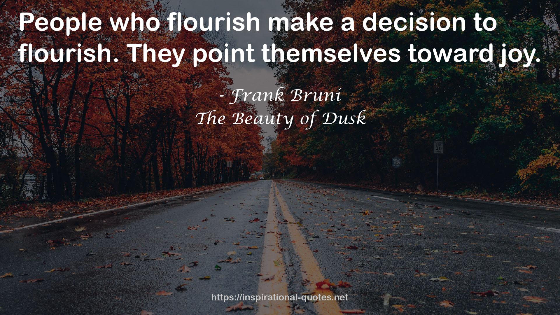 The Beauty of Dusk QUOTES