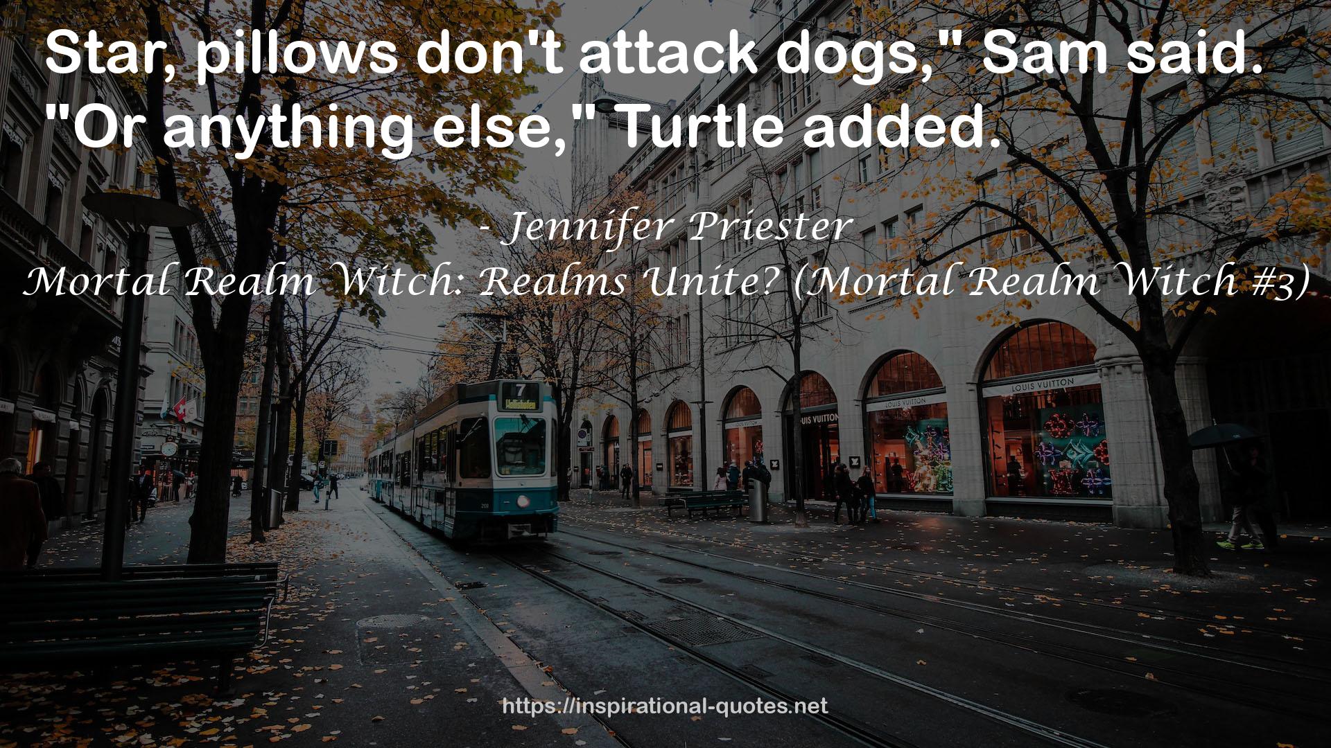 Mortal Realm Witch: Realms Unite? (Mortal Realm Witch #3) QUOTES