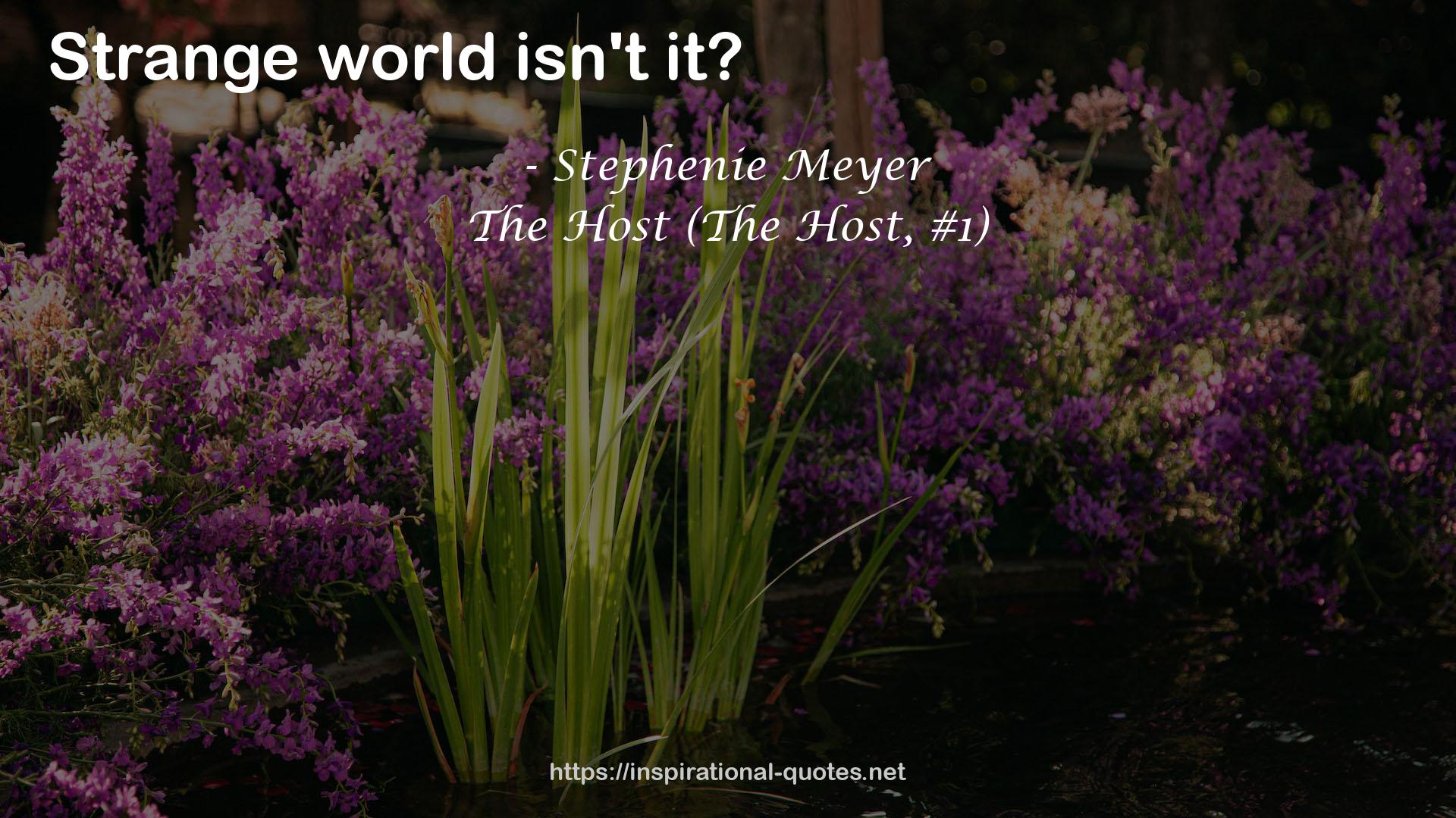 Stephenie Meyer QUOTES