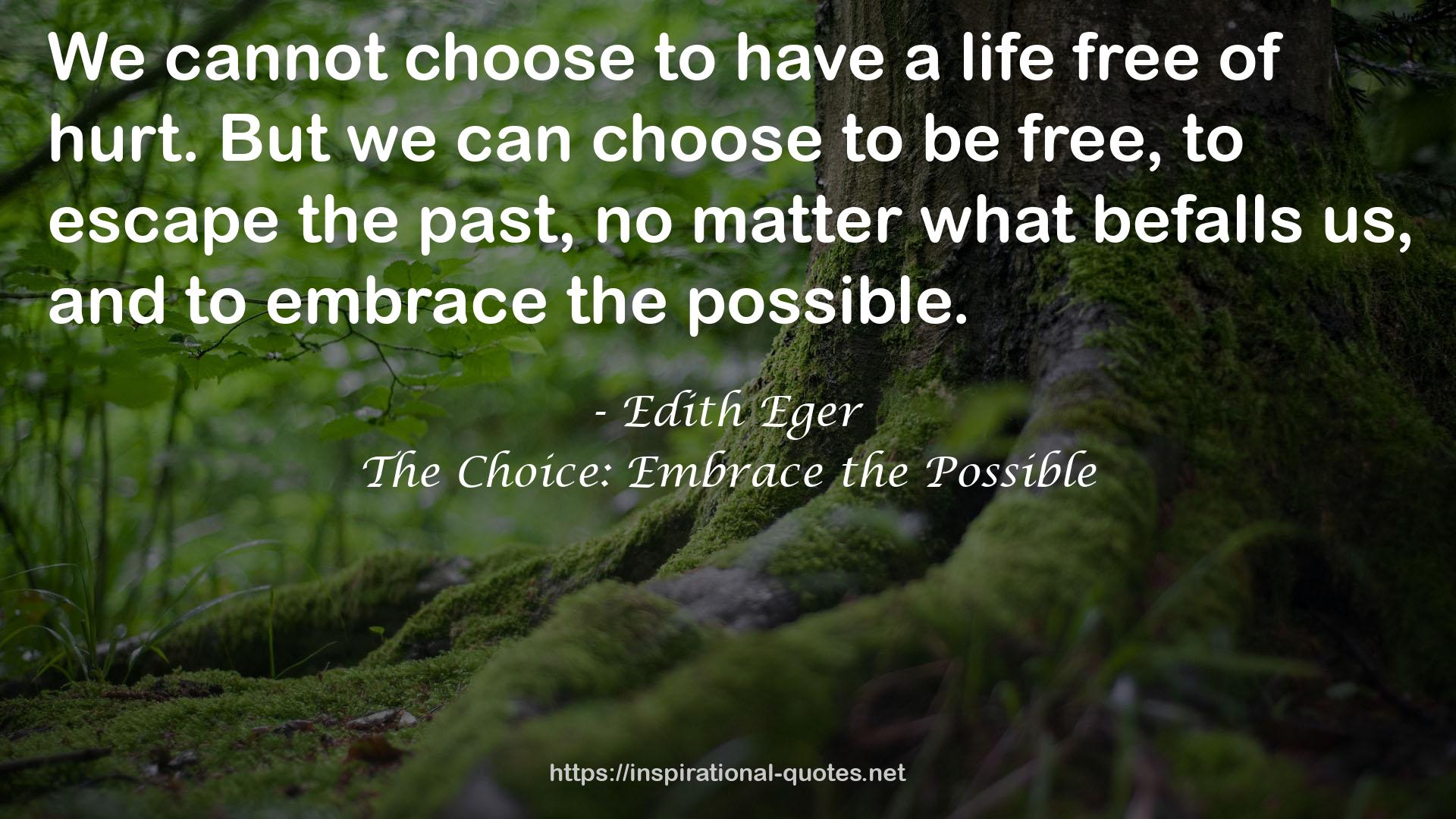 The Choice: Embrace the Possible QUOTES