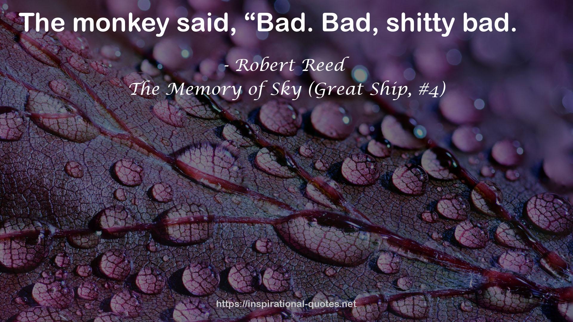 The Memory of Sky (Great Ship, #4) QUOTES