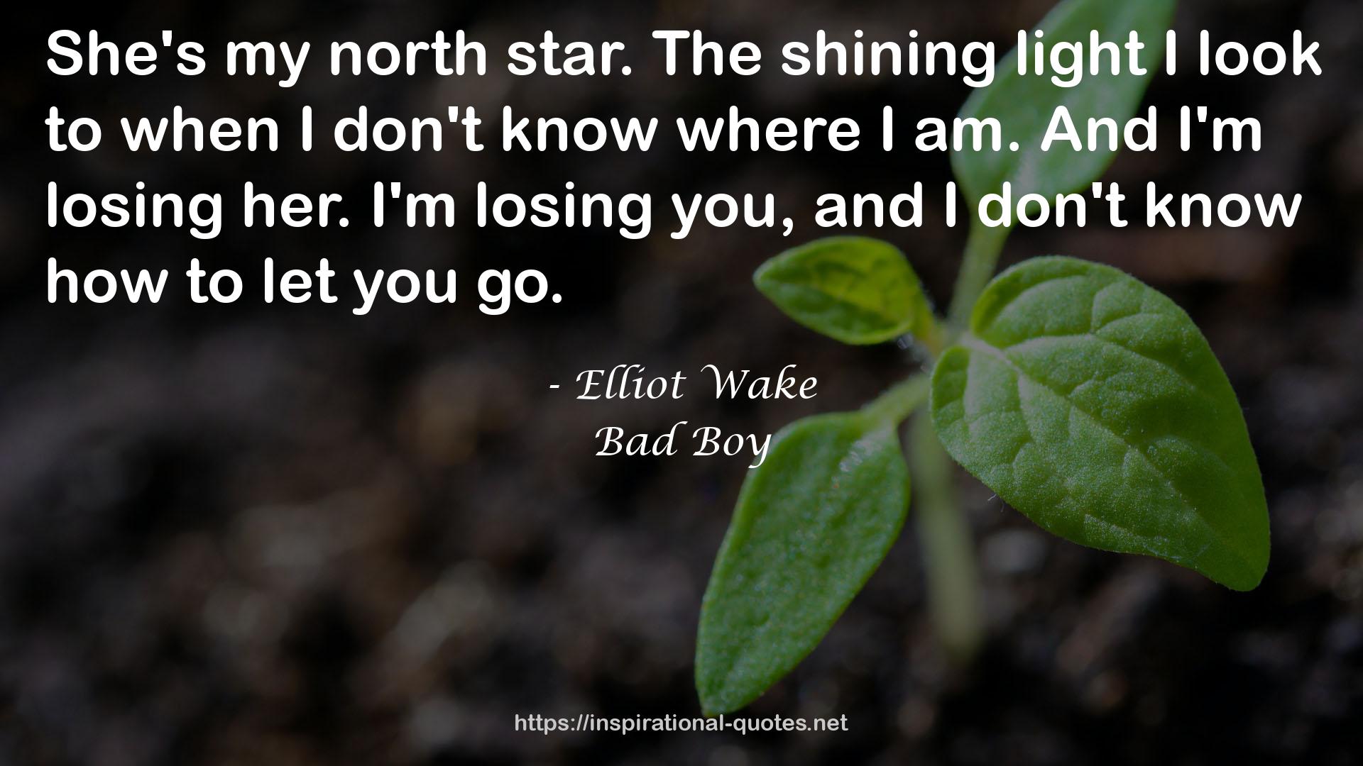 Elliot Wake QUOTES