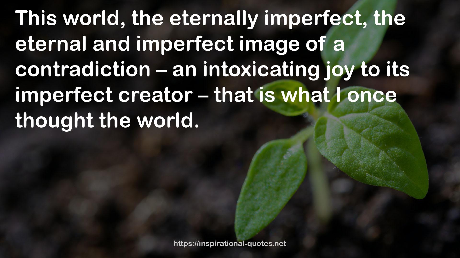 the eternal and imperfect image  QUOTES