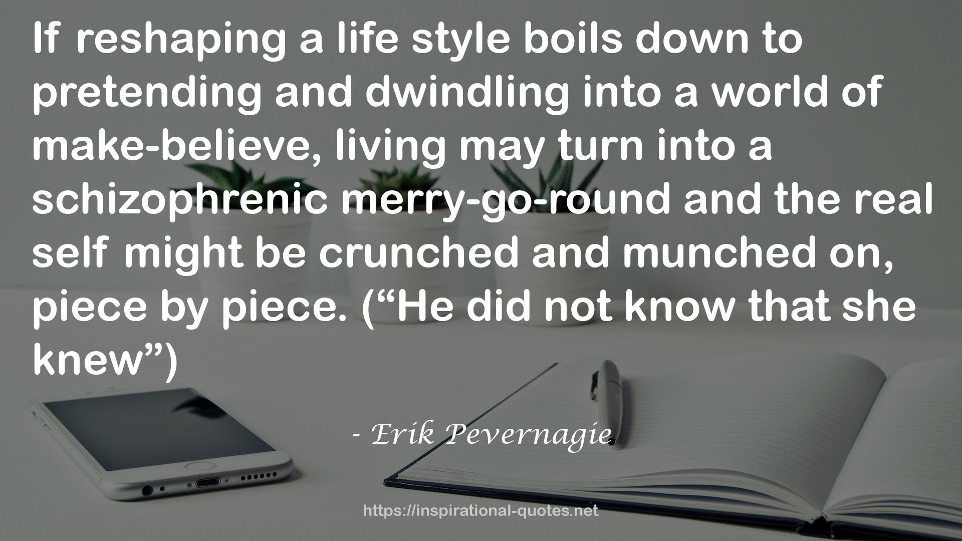 Erik Pevernagie QUOTES